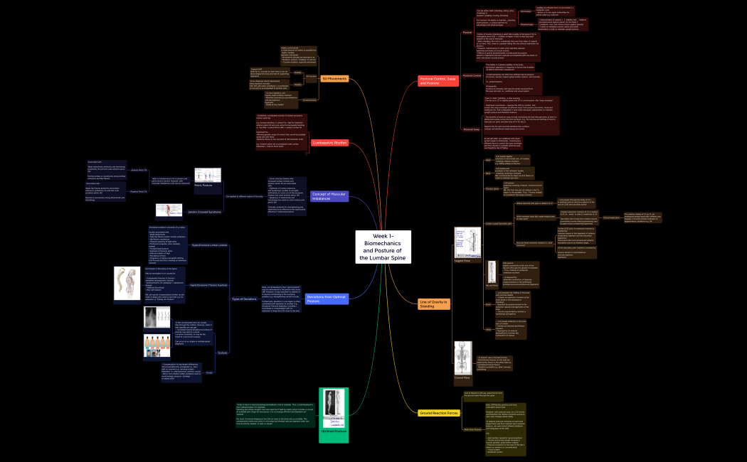  Week 1- Biomechanics and Posture of the Lumbar Spine 
