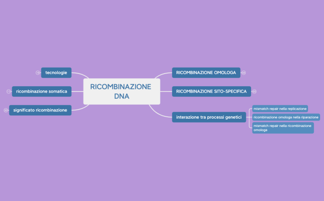 RICOMBINAZIONE DNA