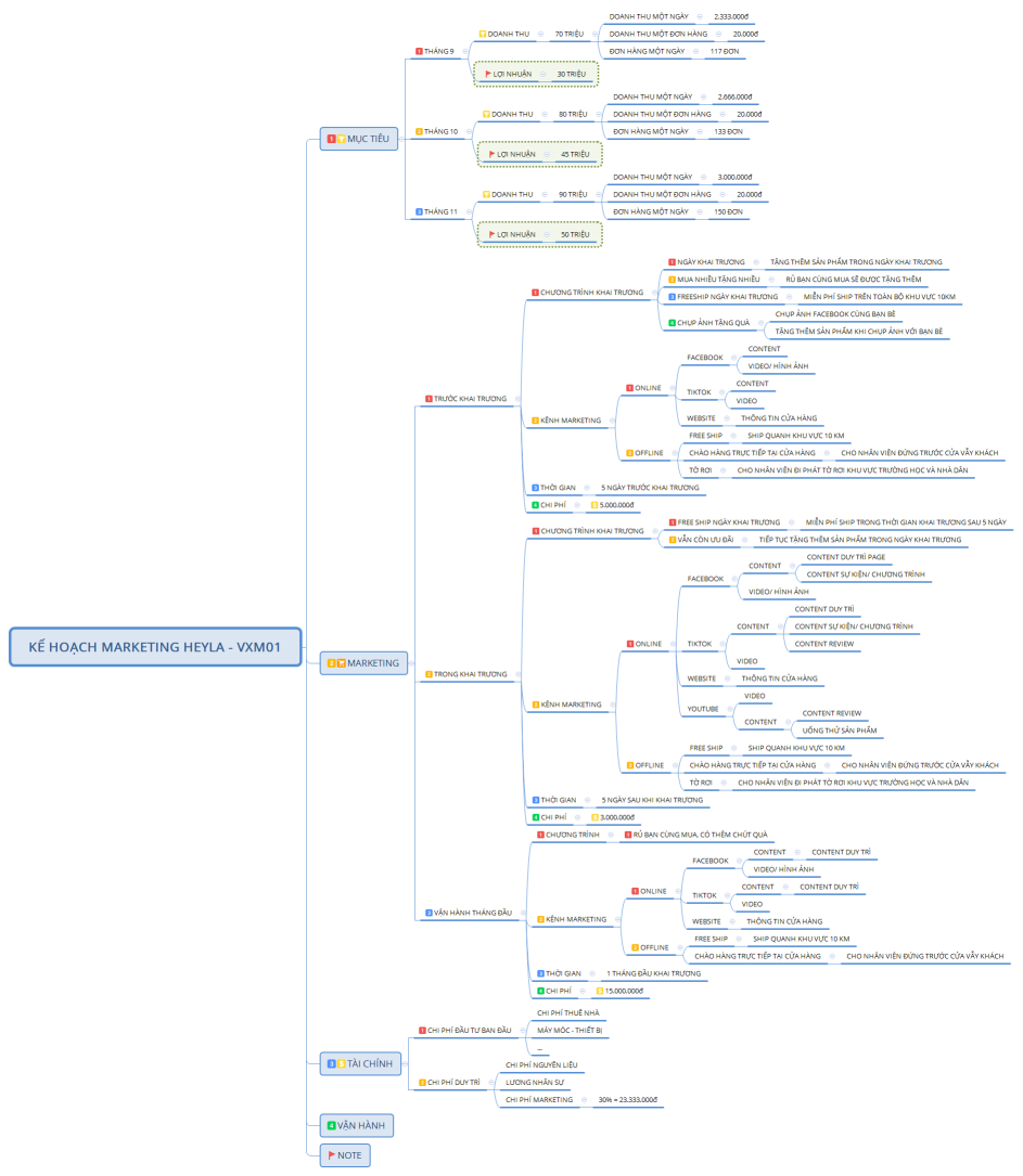 KẾ HOẠCH MARKETING HEYLA - VXM01