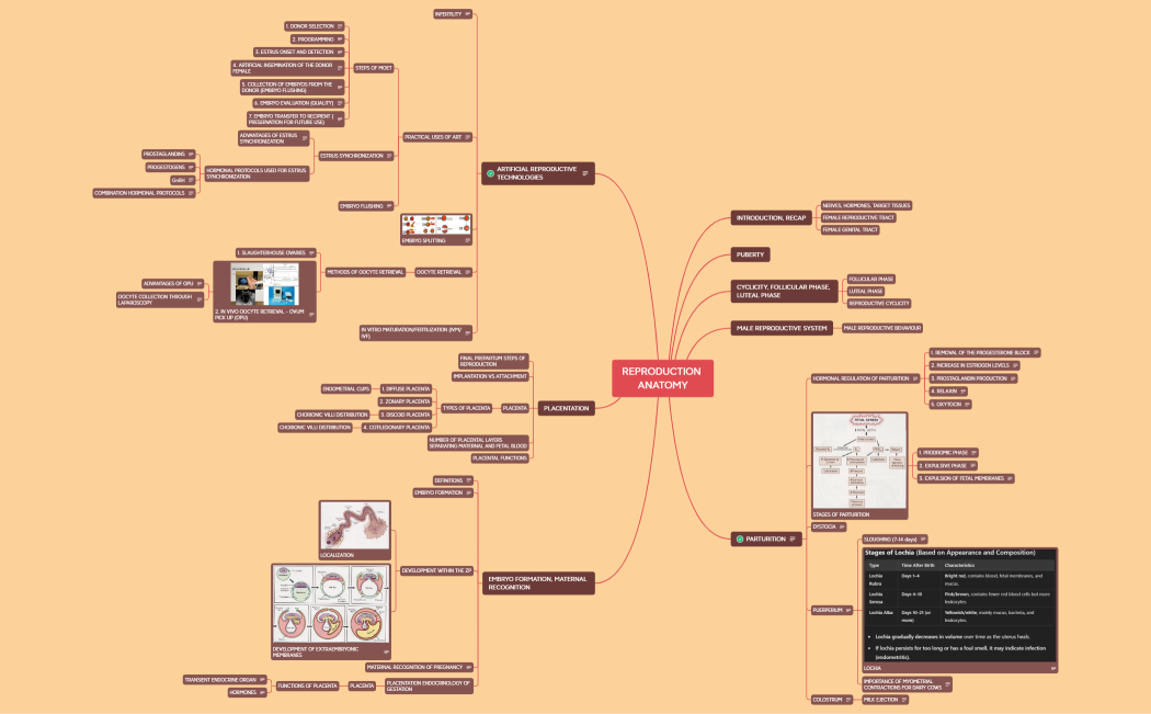 REPRODUCTION, 2025.xmind