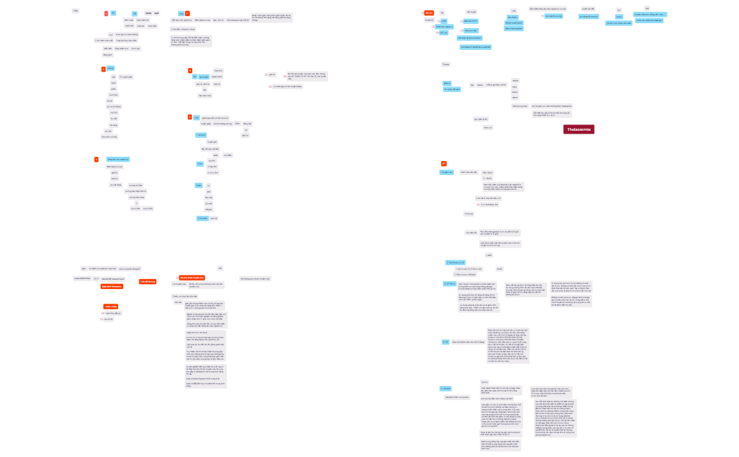 Thalassemia.xmind