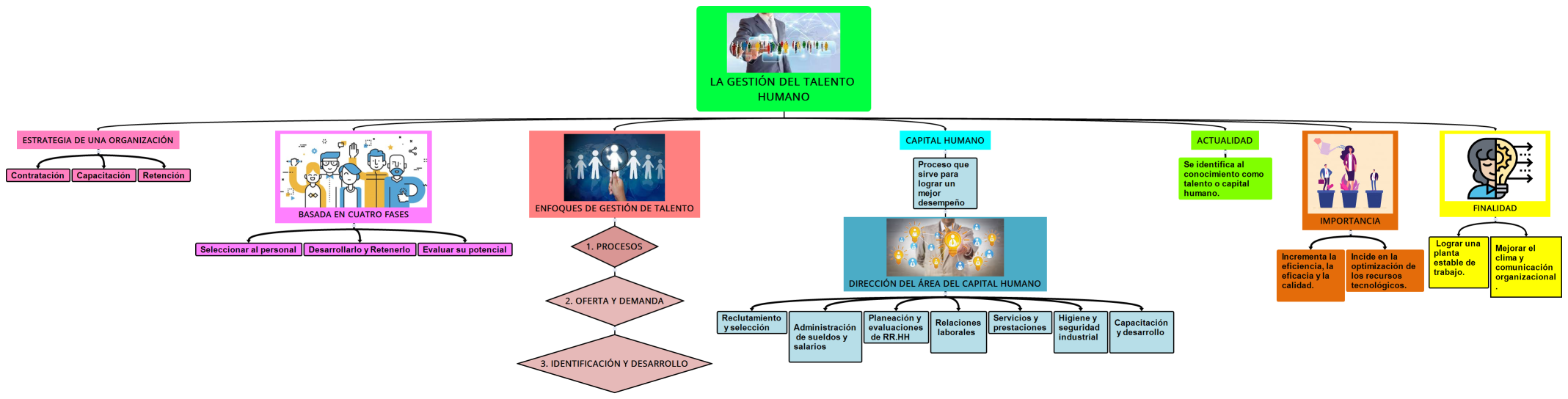 La Gestión del Talento Humano