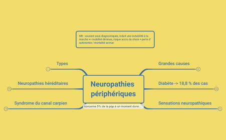 Neuropathies périphériques