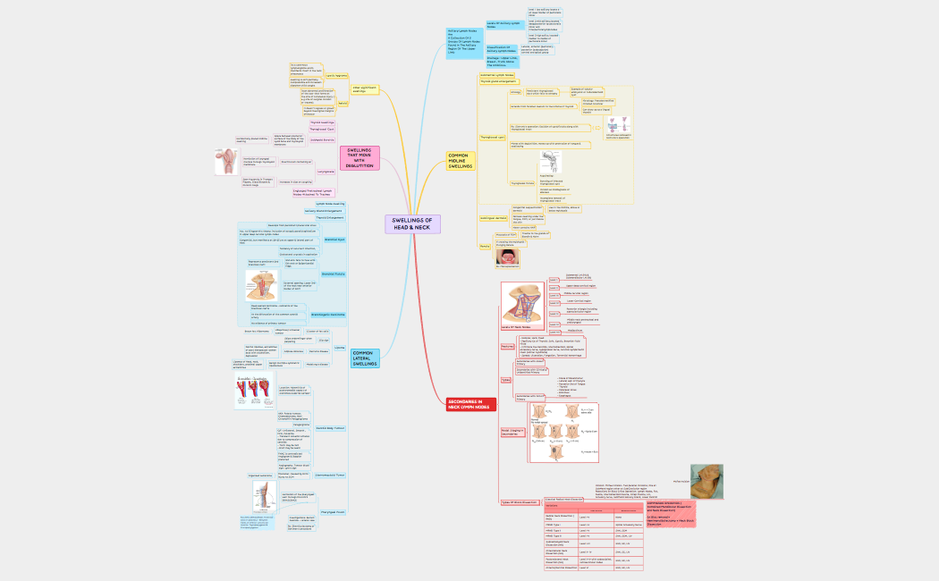 SWELLINGS+OF+HEAD+_26+NECK+-+Modified-230619130945 (2).xmind