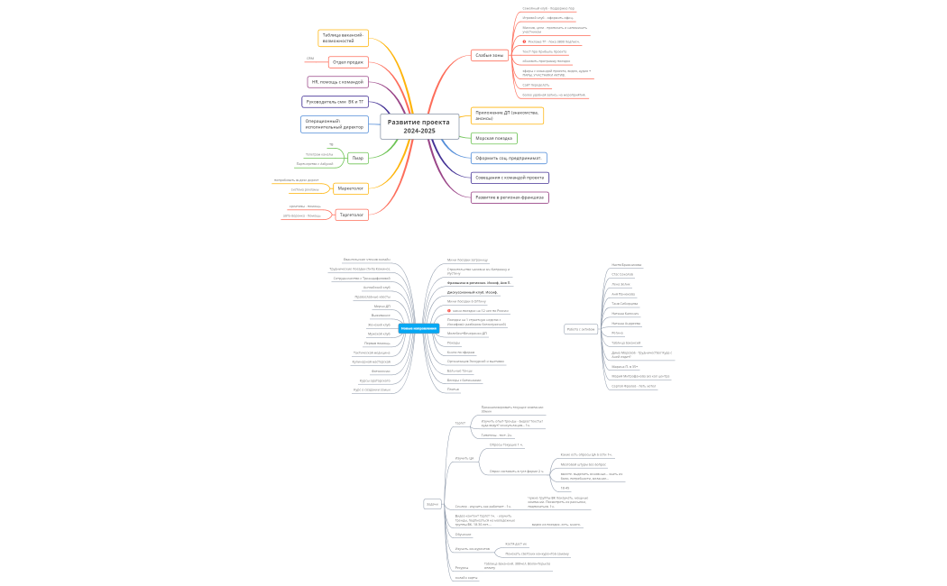 Развитие проекта 2024-2025