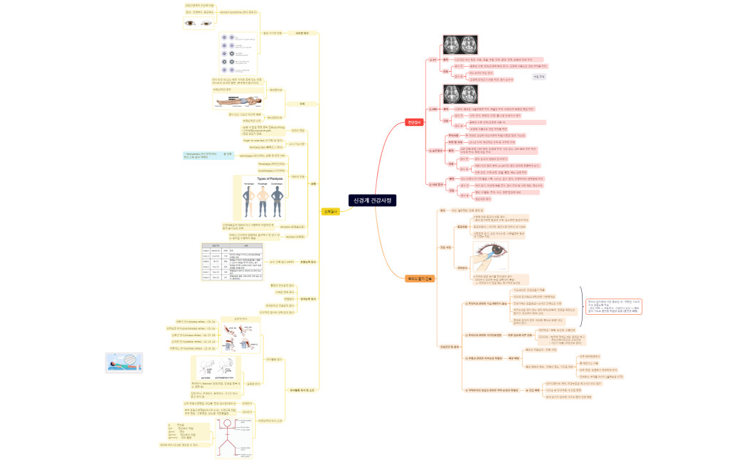 신경계 건강사정