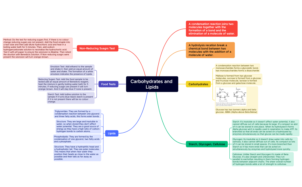 Carbohydrates and Lipids