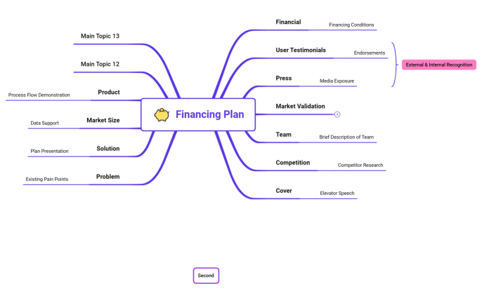 Financing Plan_Win