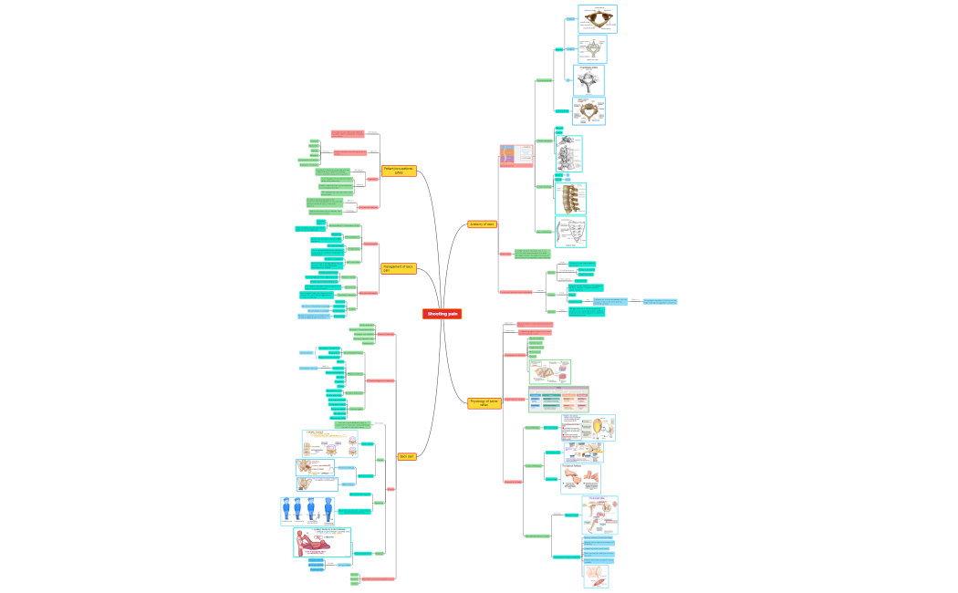 _Shooting_painQAjjVEXokqdVO06967u2WMmxkgTobQx67895-nFLCrj-B1iriEs-99360