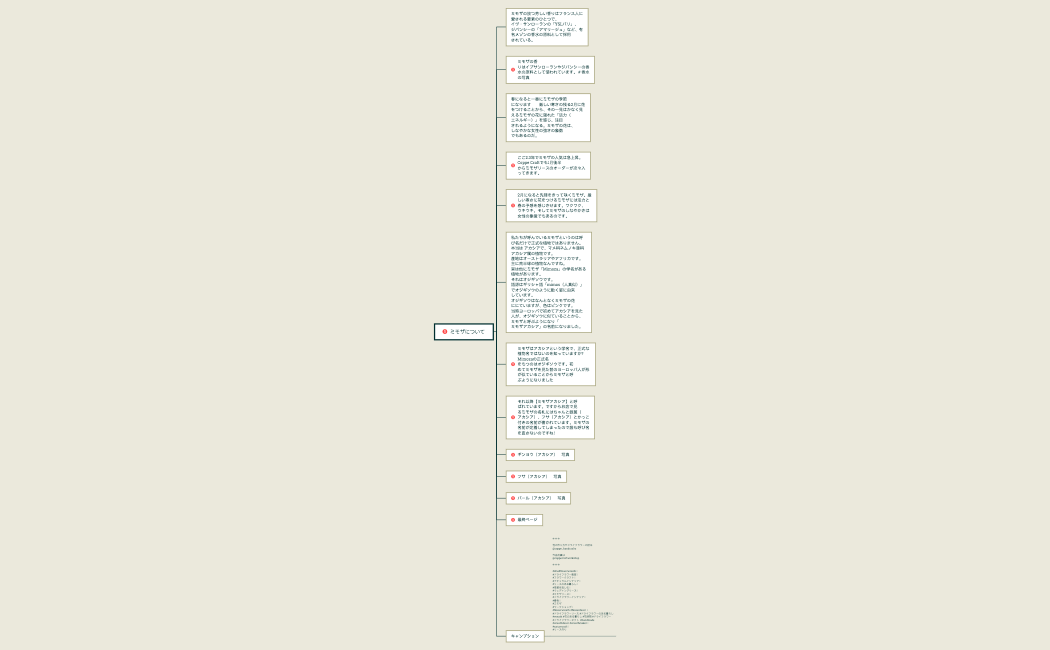 ミモザについて