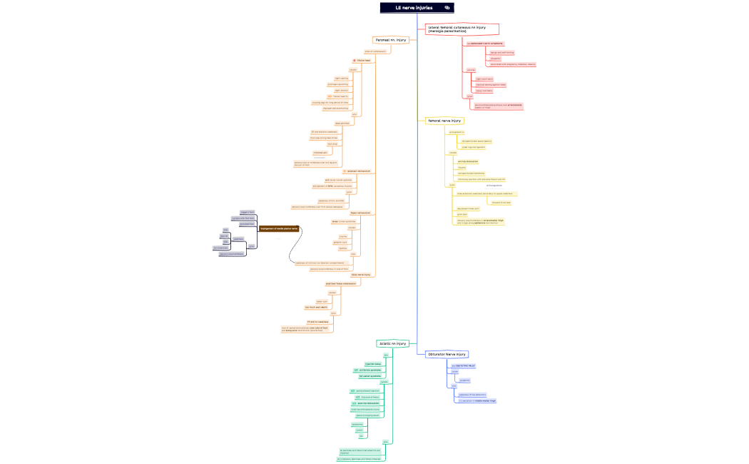 Peripheral Nerve Injury