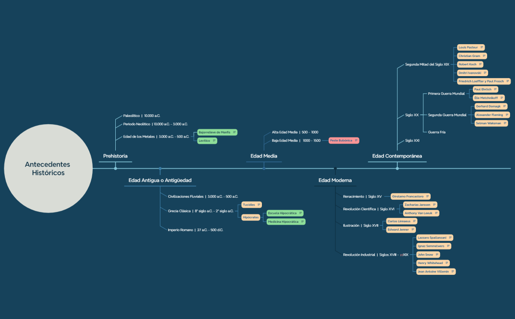 Antecedentes Históricos