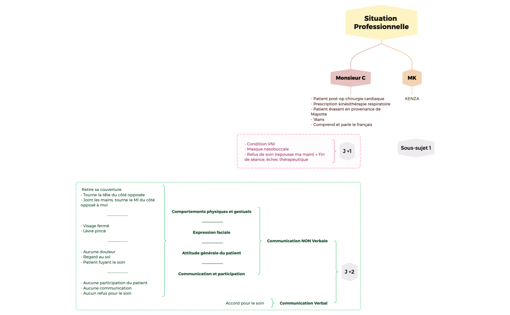 Situation Professionnelle