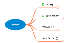wowcv
