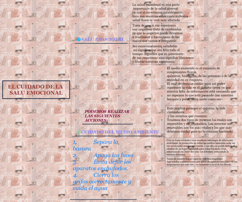 EL CUIDADO DE LA SALU EMOCIONAL