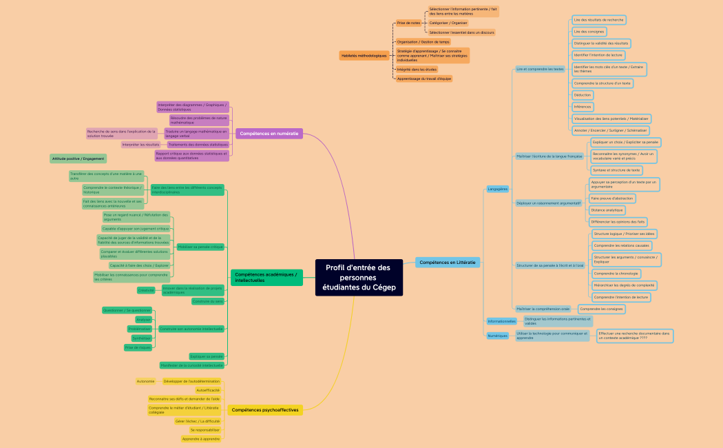 Profil d'entrée des personnes étudiantes du Cégep.xmind