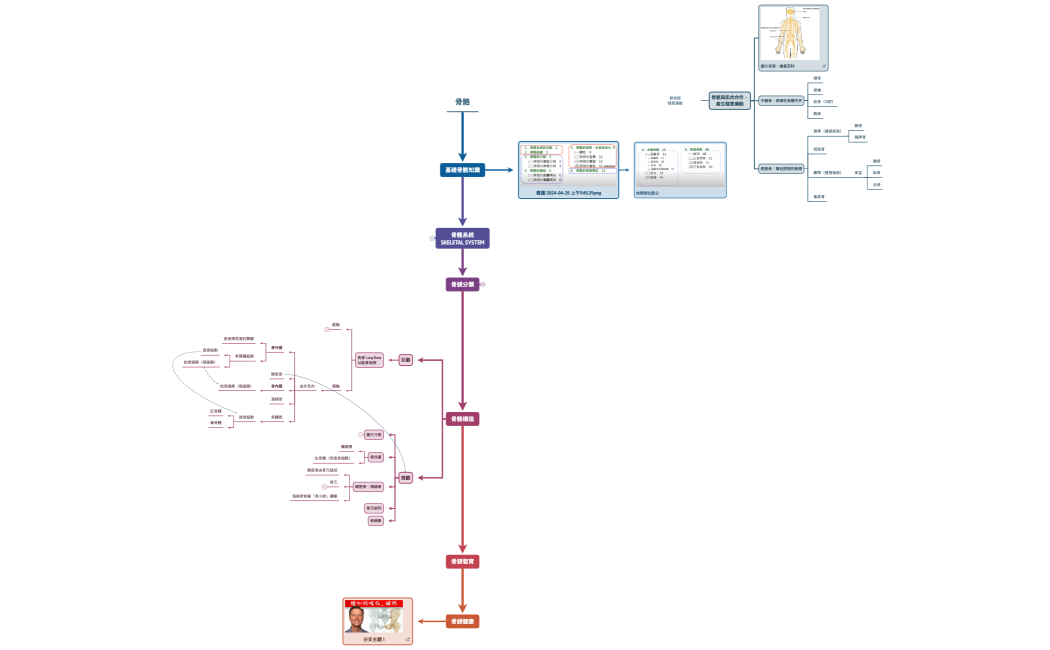 神經系統的分類