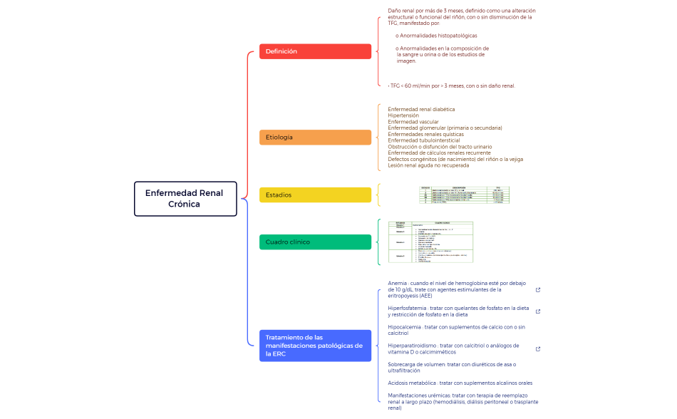 Enfermedad Renal Crónica 