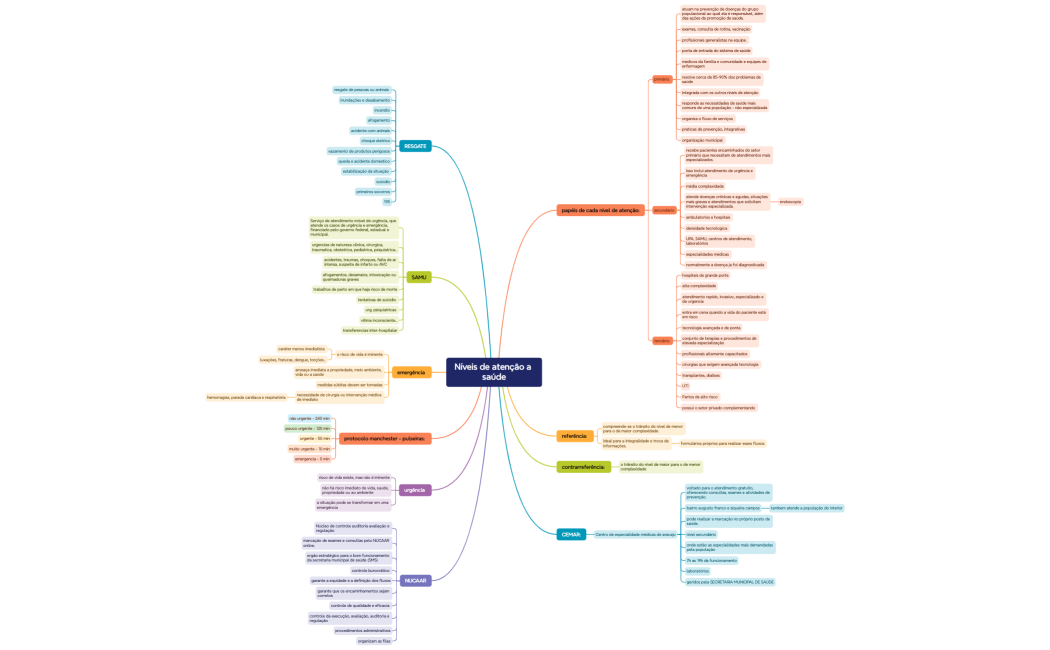 Níveis de atenção a saúde