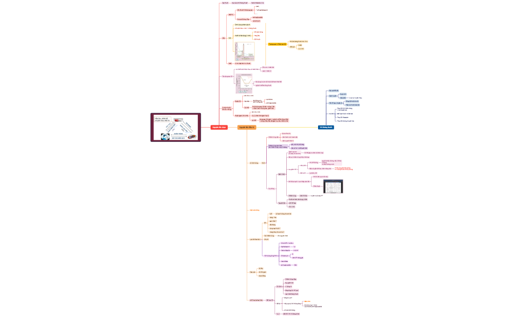 IV. DƯỢC ĐỘNG LỰC