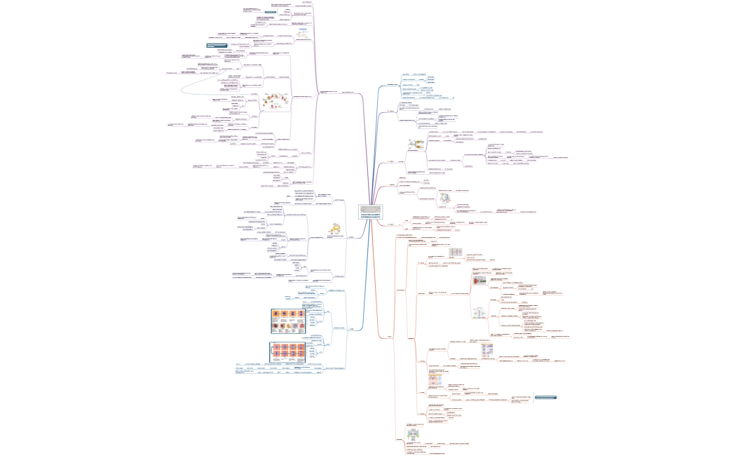 CICLO CELLULARE E DIFFERENZIAMENTO