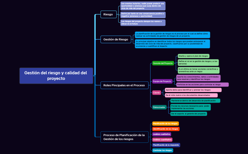 Gestión del riesgo y calidad del proyecto