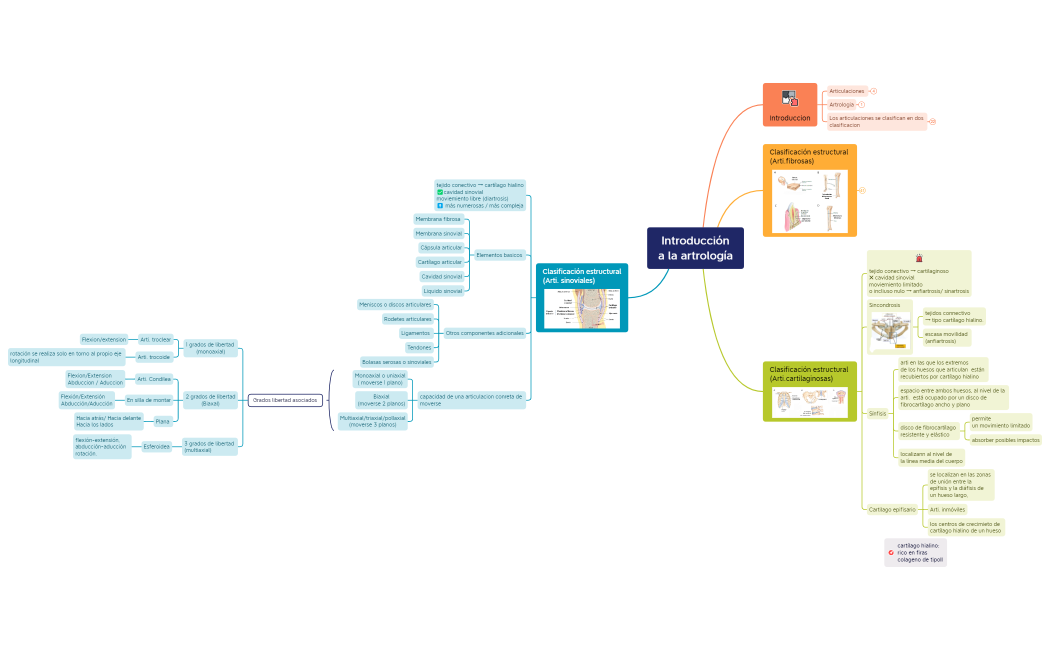 Introducción a la artrología