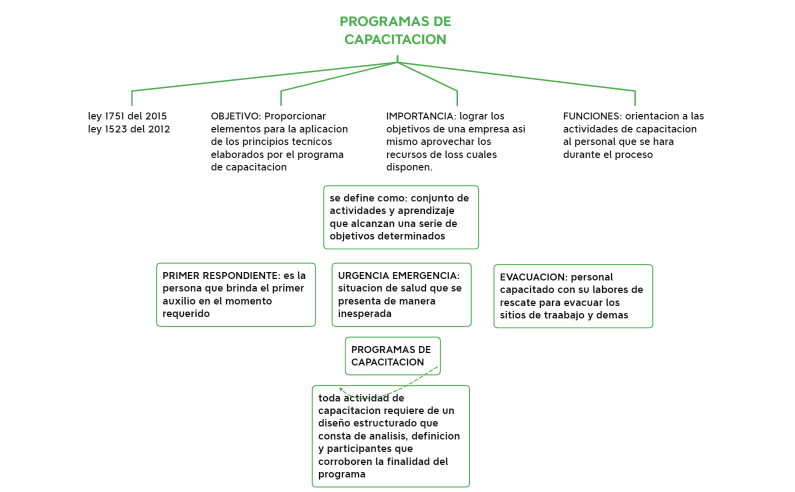 PROGRAMAS DE CAPACITACION 