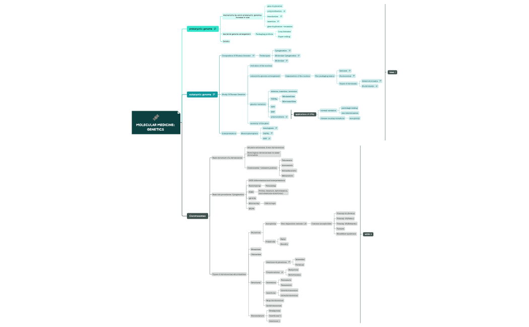 Molecular medicine_ genetics .xmind