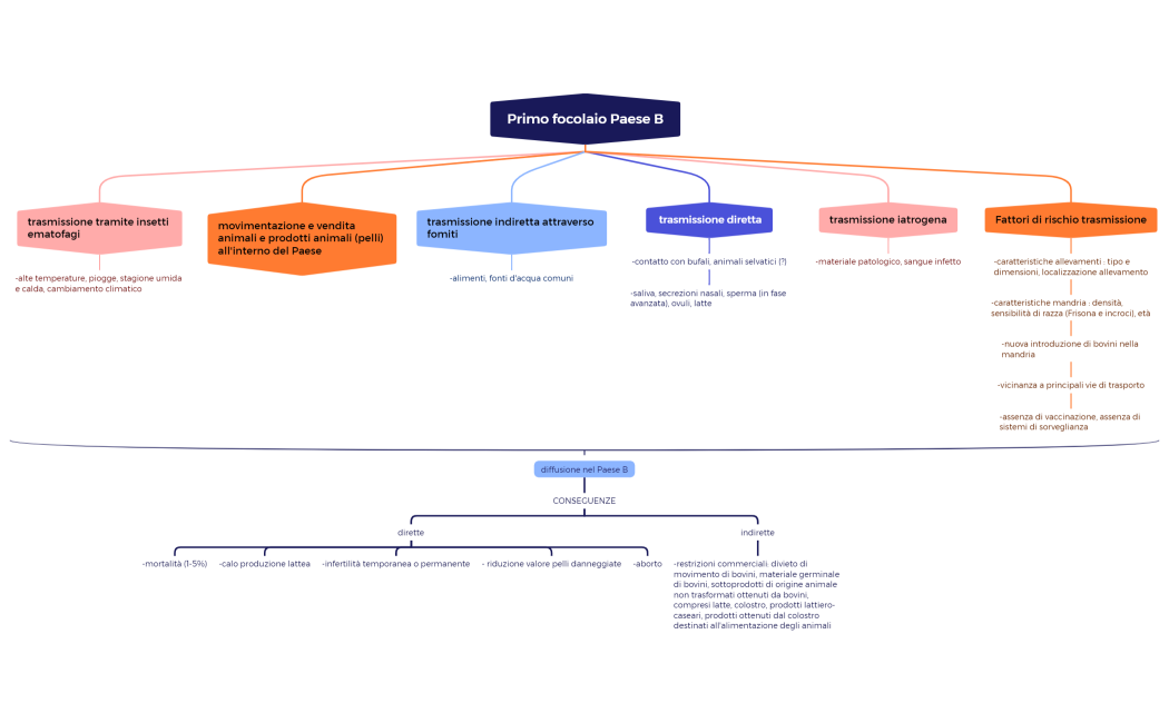 Primo focolaio paese B