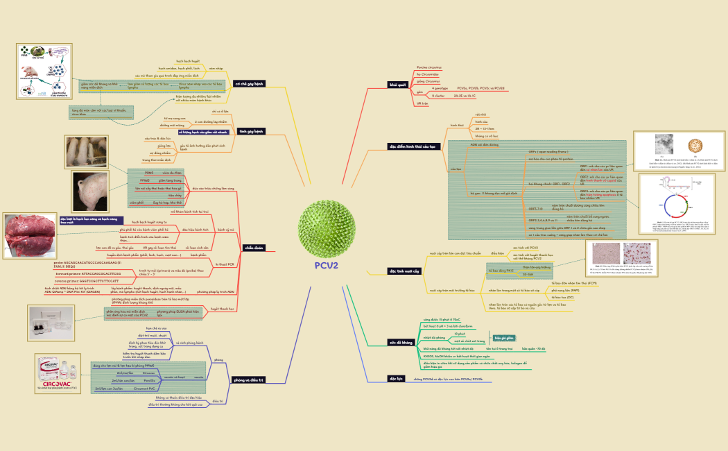 How to Take Note Efficiency