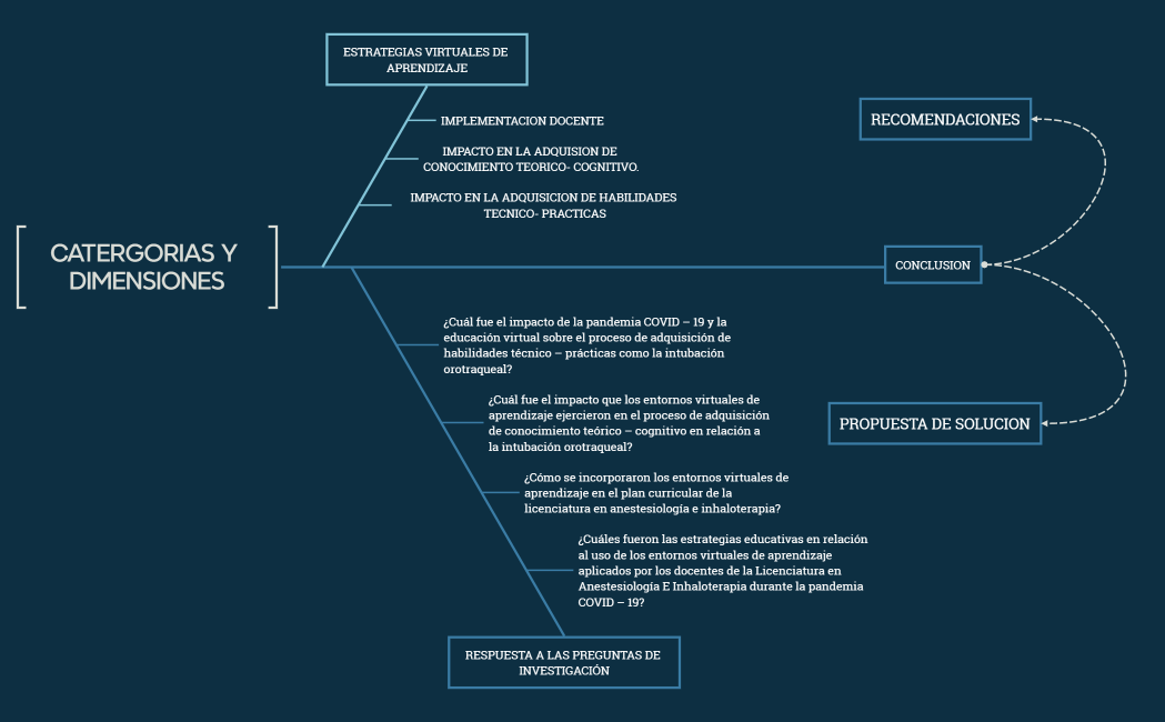 CATERGORIAS Y DIMENSIONES