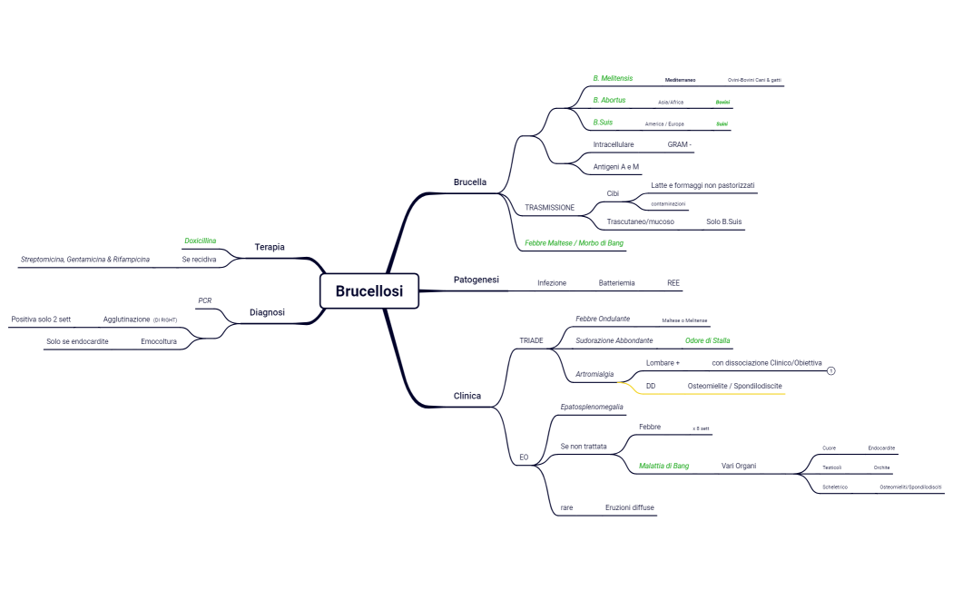 16B. Antropozoonosi Batteriche