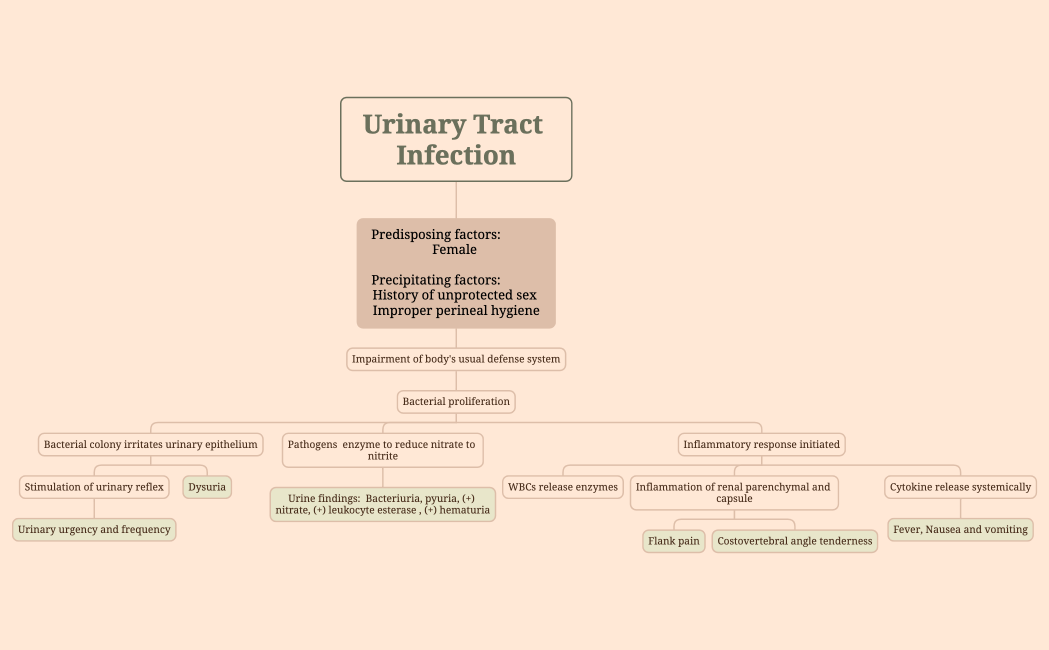 Urinary Tract Infection