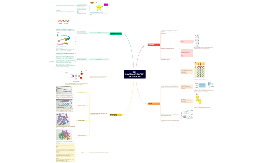 LE MACROMOLECOLE BIOLOGICHE
