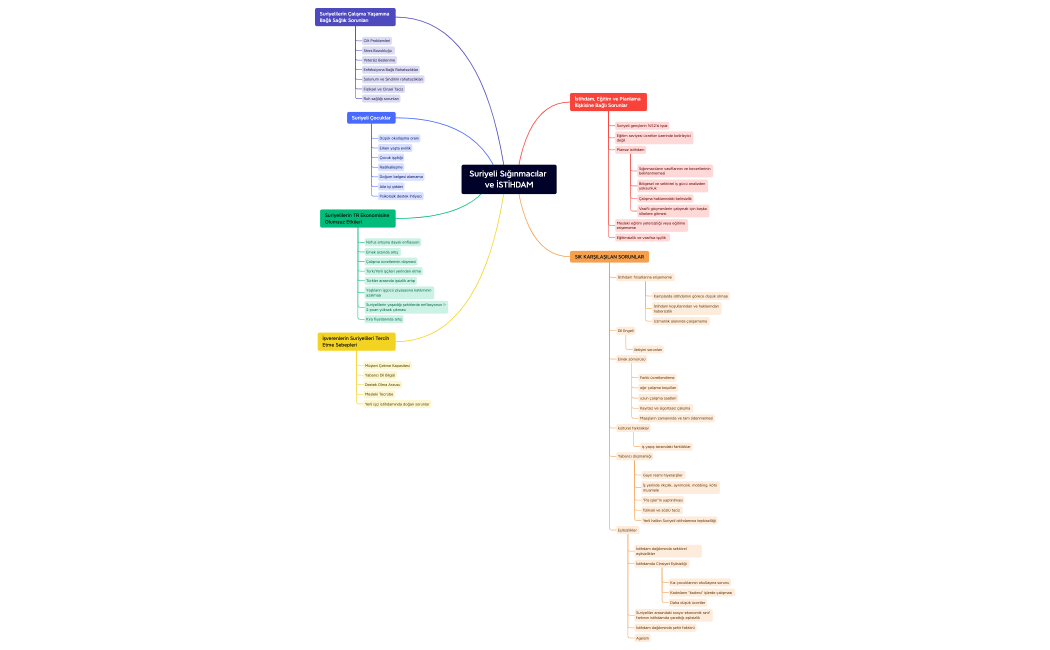 Suriyelilerin İstihdam Sorunları