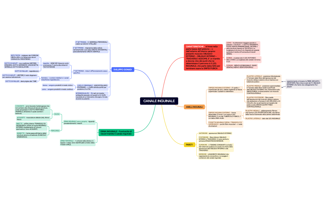 CANALE INGUINALE