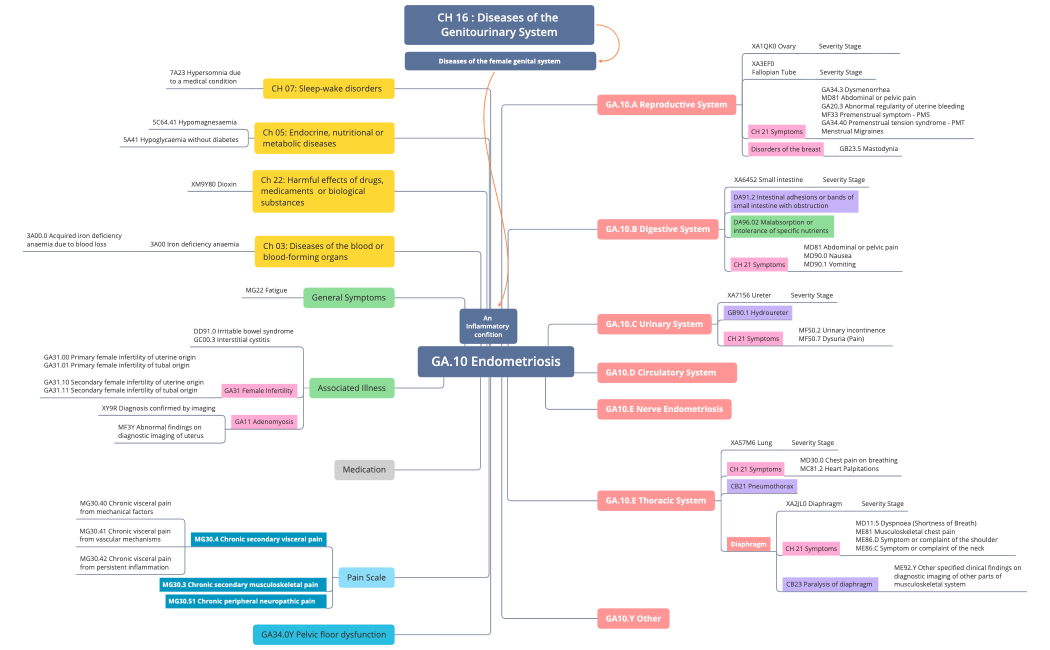 Endometriosis ICD11 Patient Map