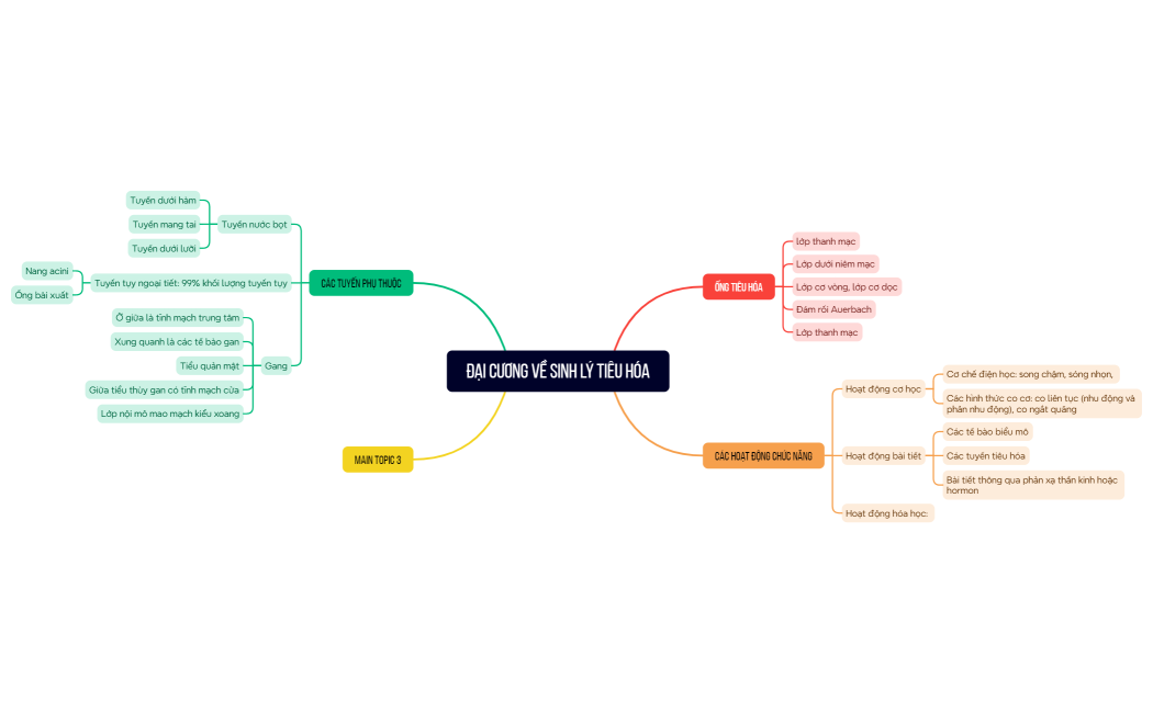 Mind Map