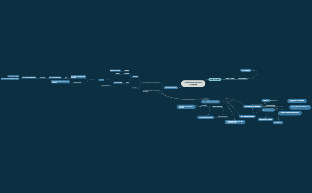 Venas del miembro superior