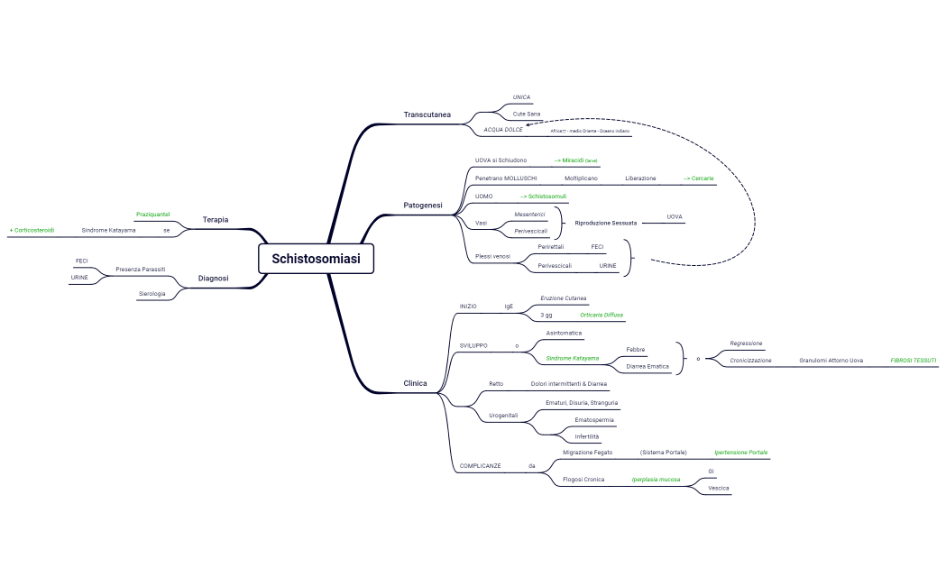 17B. Antropozonoosi Elmnitiche