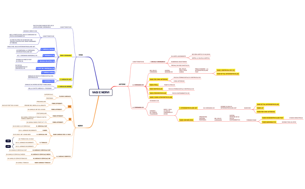 VASI E NERVI
