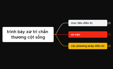 câu 12_ trình bày xử trí chấn thương cột sống