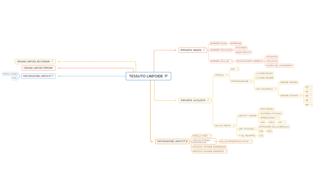 TESSUTO LINFOIDE