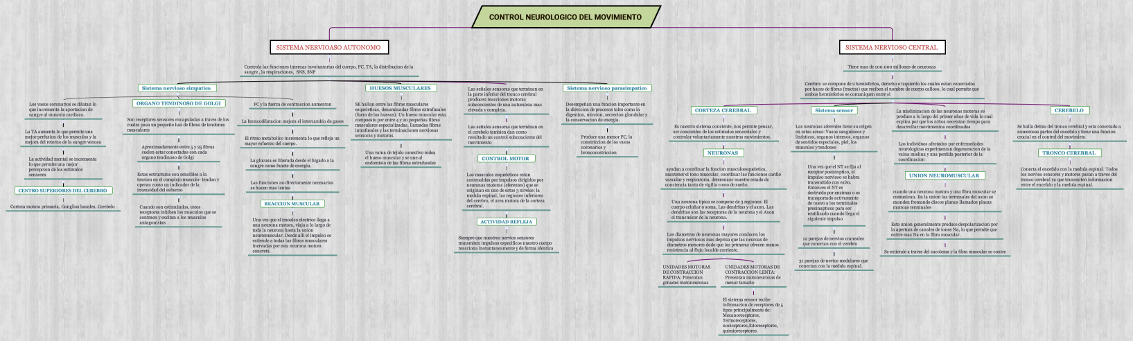 CONTROL NEUROLOGICO DEL MOVIMIENTO 