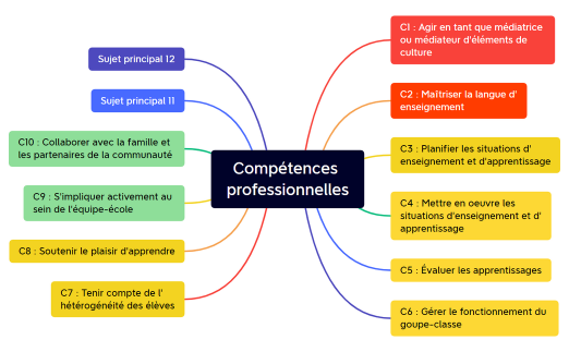 Compétences professionnelles