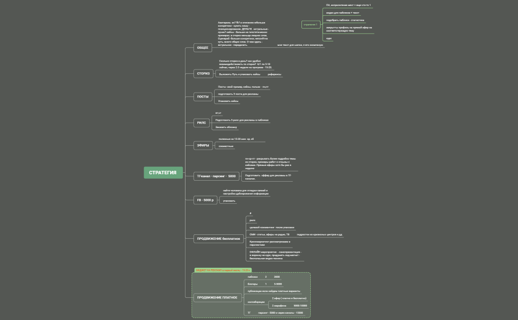 СТРАТЕГИЯ - ЭЛЬВИРА