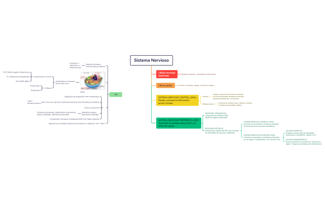 Sistema Nervioso.xmind
