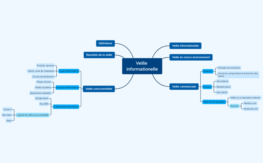 Veille informationelle synthèse