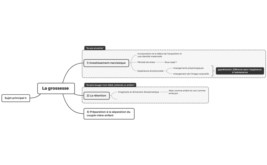 La grossesse 